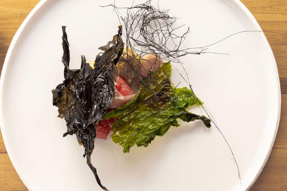 Homard